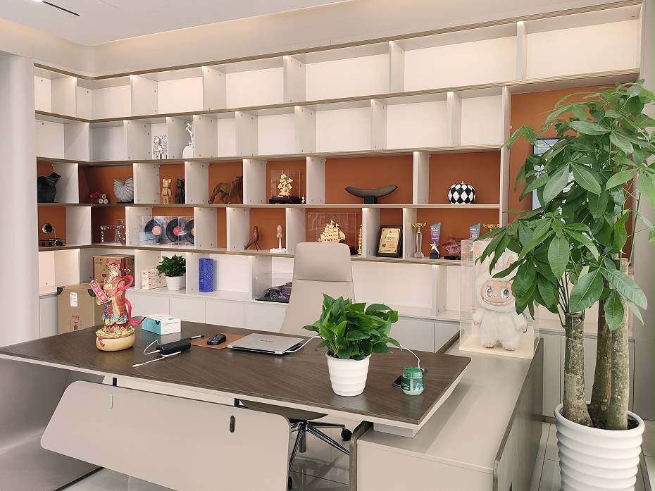 辦公樓裝修裝飾工程