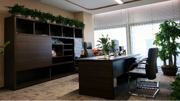 辦公室裝修之墻面顏色設(shè)計(jì)布局